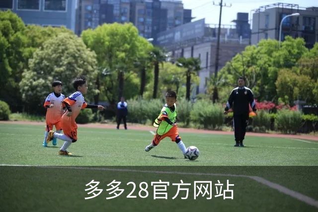 多多28官方网站公司简介展示图